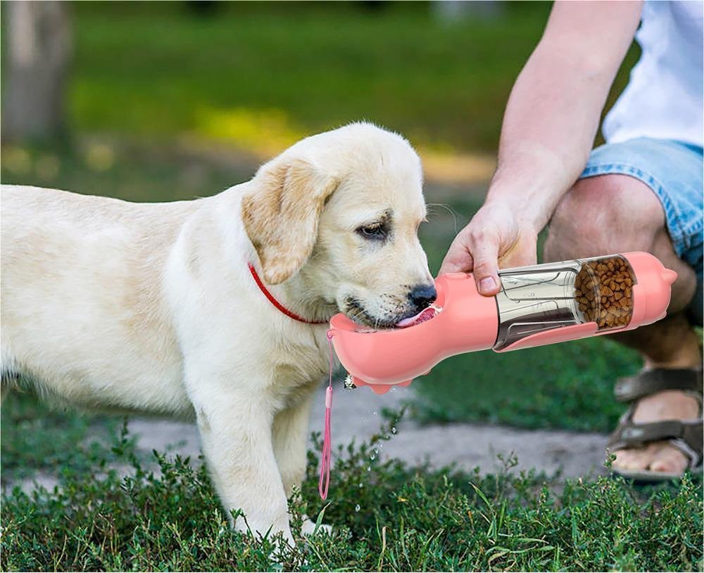 BlueTarg AdventureHydrate 3-in-1 Dog Travel Bottle