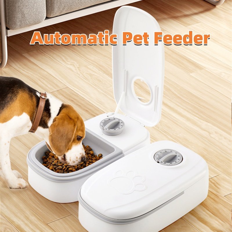 BlueTarg MealMate Timed Pet Feeder