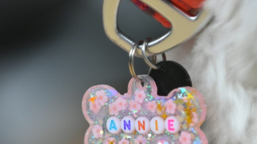 A close-up of a bone-shaped identification tag hanging from a dog's collar